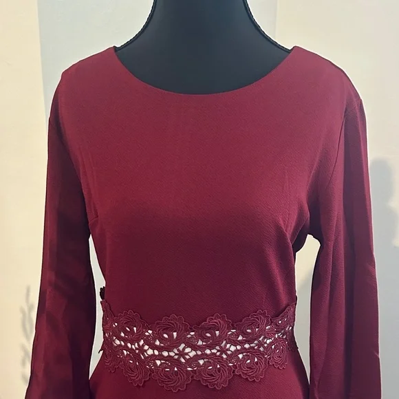 Elegant Burgundy Lace-Trim Dress - Picture 3 of 4